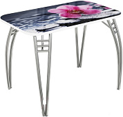 Стол обеденный прямоугольный ВВР стекло с фотопечатью (Орхидея на камне/Подстолье чайка)